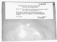 Pyrenopeziza gentianae-asclepiadeae image